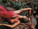 ROXY MUSIC Stranded LP Vinyl NEU 2017