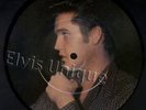 Elvis Presley - Loving You Promo Experimental One-Sided Picture Disc Single