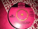 THE VACELS..CAN YOU PLEASE CRAWL OUT..RARE UK FIRST ISSUE PYE 7N 25330