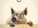 Pigro [lp_record] Ivan Graziani