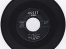 ROCKABILLY 45RPM - TRACEY PENDARVIS ON SCOTT - RARE   BEAUTIFUL COPY