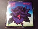 Thin Lizzy ?– Black Rose LP BSK 3338  1979 VG VG possibly autographed copy