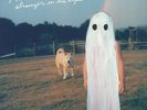 BRIDGERS, Phoebe - Stranger In The Alps - Vinyl (LP)