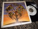 TALK TALK ASCENSION DAY SINGLE 7