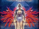 Unfold The Future (Re-Issue 2017) [3 LP + 2 CD] [lp_record] The Flower Kings