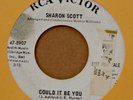 Northern Soul 45-Sharon Scott-Could It Be You-RCA-PROMO
