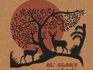 JJ Grey and Mofro-Ol' Glory  (US IMPORT)  Vinyl / 12