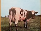 Pink Floyd - Atom Heart Mother - 1970 Vinyl LP