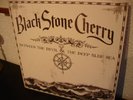 Black Stone Cherry  BETWEEN THE DEVIL & THE DEEP BLUE SEA   MINT