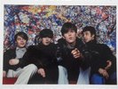 Vinyl LP -The Stone Roses -Tokyo Adoration - Colored Vinyl- White