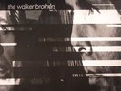 WALKER BROTHERS, The - Nite Flights - Vinyl (LP)