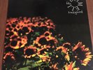 Lifetime Background LP 1992 New Age Records Punk Hardcore Vinyl