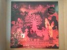 THE WOODENTOPS Giant Debut LP Rough87