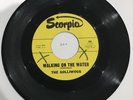The Golliwogs-Walking on the Water-Pre Creedence Clearwater Scorpio RARE 45 RPM