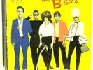 Classic Eighties Rock & Pop + Funk LP Vinyl Record Album Lot: B-52's Falco Babys