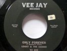 LENNY & the CHIMES 45 Two times two / Only forever VEEJAY doowop Ws1560