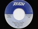 Big Ella - Please Don't Hurt Me / The Queen (Soul, 45)