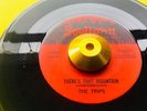 *** THE TRIPS *** THERE’S THAT MOUNTAIN/LOVE CAN’T BE MODERNISED *VG