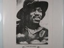 JIMI HENDRIX Live in Stockholm VINYL ALBUM/Wizardo Records/WRMB 333