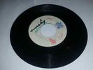 BLANK[BEVERLEYS]/UNITY - DESMOND DEKKER & THE ACES [R/STEADY]  7