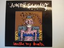Angry Samoans - inside my brain LP SubwayRecordsTripleXRecords 1980