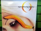 sealed A PERFECT CIRCLE thirteenth step LP original 2003 Virgin MAYNARD tool oop