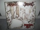 LP Haemorrhage/Impa Led 