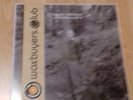 GREEN VINYL JAY-JAY JOHANSON LOOKING GLASS II WAX BUYERS CLUB EXCLUSIVE