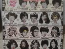 Rolling Stones Some Girls LP - Original Celebrity Cover  NEW  Sealed