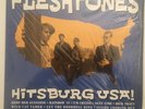 The Fleshtones - Hitsburg USA  - TR 026(US) - Vinyl - NM/NM