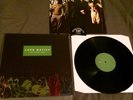 Look Mexico This Is Animal Music Black Vinyl /500 into it over it ttng rare oop