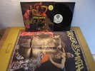 TIGER B. SMITH - TIGER ROCK LP IN MINT CONDITION + POSTER KRAUTROCK