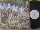 VAGIF MUSTAFA ZADE - Jazz Compositions ORIG 1979 SOVIET JAZZ LP EX+