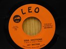 Jay Rhythm 45 Wouldnt It Be A Pleasure bw Soul Emotions   Leo M-