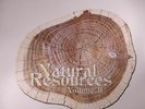 VARIOUS - Natural Resources Volume II - Vinyl (2xLP)