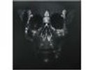 Der W - IV [Vinyl] | NEU & OVP