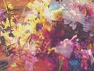 Desperate Journalist by Desperate Journalist: album, vinyl, as new