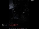 KIRLIAN CAMERA Nightglory LIMITED 2LP VINYL 2011