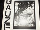 GAUZE   Rare  Vinyl LP