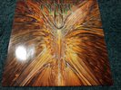 CYNIC - FOCUS VINYL 1993, RAR First Press NO RE- RELEASE , Pestilence