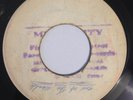 ROLAND ALPHONSO - REGGAE IN THE GRASS - COXSONE PRE ( ROCKSTEADY INST 7 )