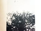 THE SUNDAY PAINTERS - SOMETHING TO DO - LP - 1ST PRESS - LTD ED NUMBERED - BKLT