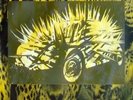 CAT RAPES DOG - 1992 - Tourplakat - Concert - Banzai Beats - Tourposter