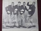 The Commands 