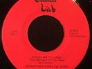 Legionaire's Disease Band -Rather See You Dead- Punk KBD 45 on Lunar Labs - Hear