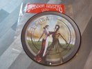 Scissor Sisters LAURA Picture Disc RARE AND STUNNING 12 Inch Vinyl