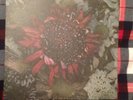 Protest The Hero Kezia Vinyl