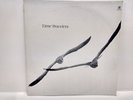 Time Travelers Rinder And Lewis AVI Space Disco  Vinyl Records             slp58