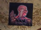 Tool - Lateralus LP