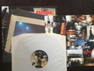 Bane Give Blood Vinyl LP SXE HXE Straight Edge Gorilla Biscuits